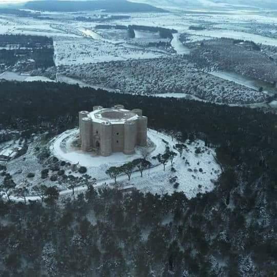 Palazzo Lupicini Affittacamere Bisceglie Eksteriør bilde